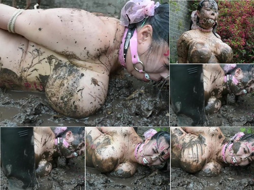 human animal PetGirls Pig Dipping image