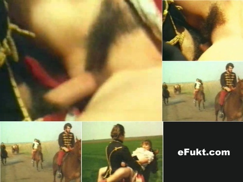 crazy videos eFukt com Amazing Horse image