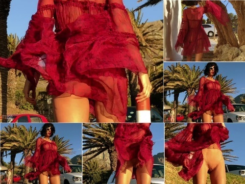 Performance Red Silk Dress image