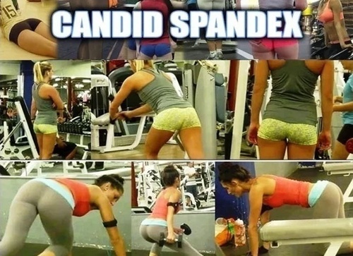 sexy CandidSpandex 259 image