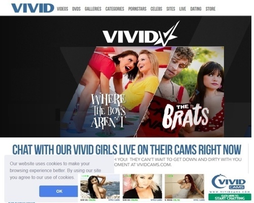 Vivid.com - SITERIP WifeSwappers-Part1 s01 ChrisCannon EricMasterson 1080p image