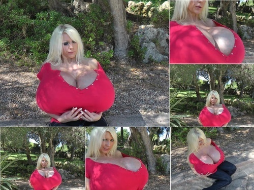 Scenes Beshine 2013-11-28 – Heavy titted blonde with massive pair of fake pumped up beachball boobs 1080p Full HD image
